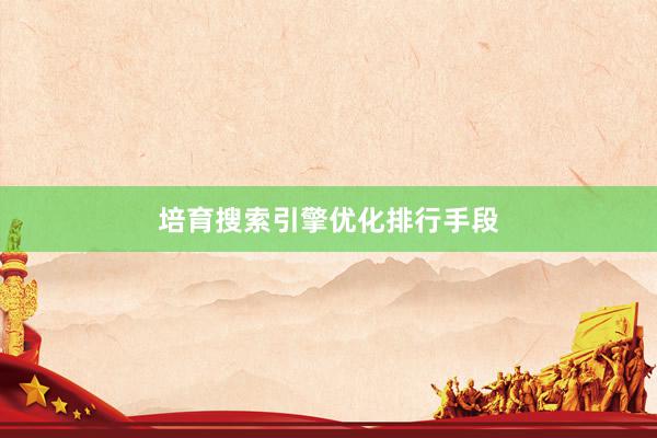培育搜索引擎优化排行手段