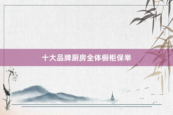 十大品牌厨房全体橱柜保举