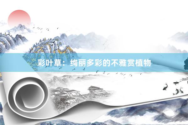 彩叶草：绚丽多彩的不雅赏植物