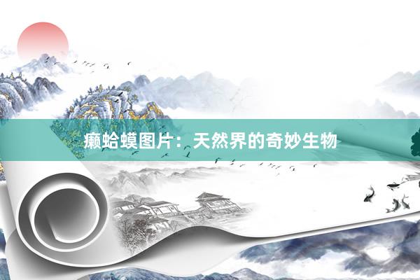 癞蛤蟆图片：天然界的奇妙生物