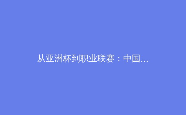 从亚洲杯到职业联赛：中国体育产业的结构性变革与未来机遇 - 3